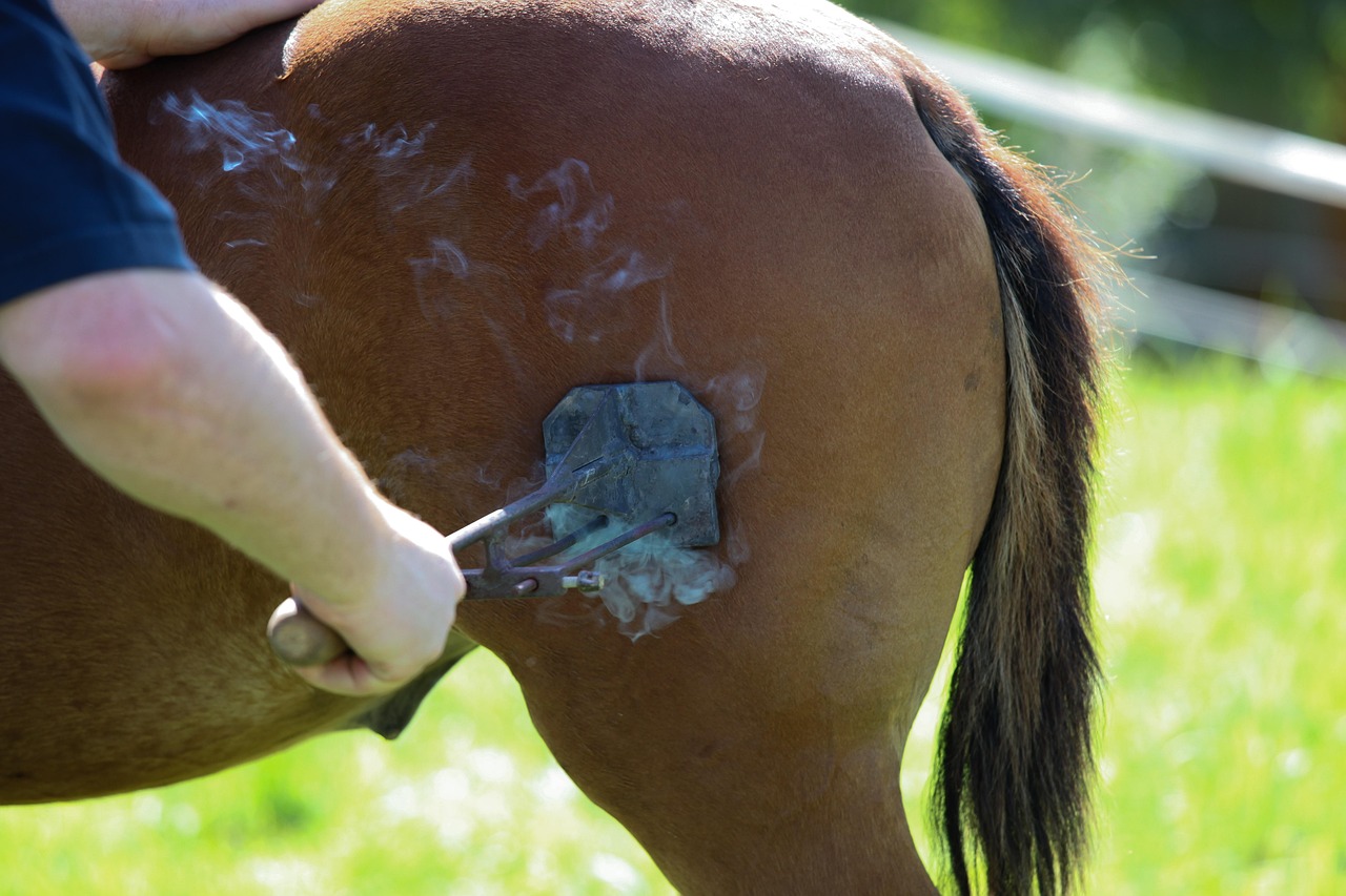 Horse, fire, craft — Best Withdrawal Methods for Indian OK Win Users
